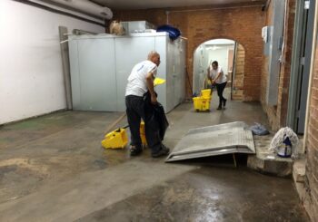 Steel City Ice Cream – Stripping Sealing and Waxing Concrete Floors 24 a3a466ca38aaad49ace38c58516542a1 350x245 100 crop Stripping, Sealing and Waxing Concrete Floors at Steel City Ice Cream in Dallas